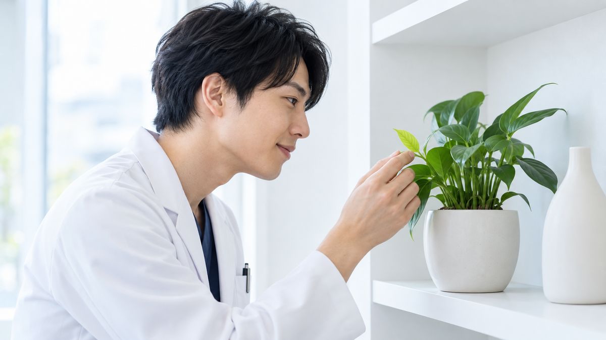 観葉植物の新芽を見つめる白衣の男性医師
